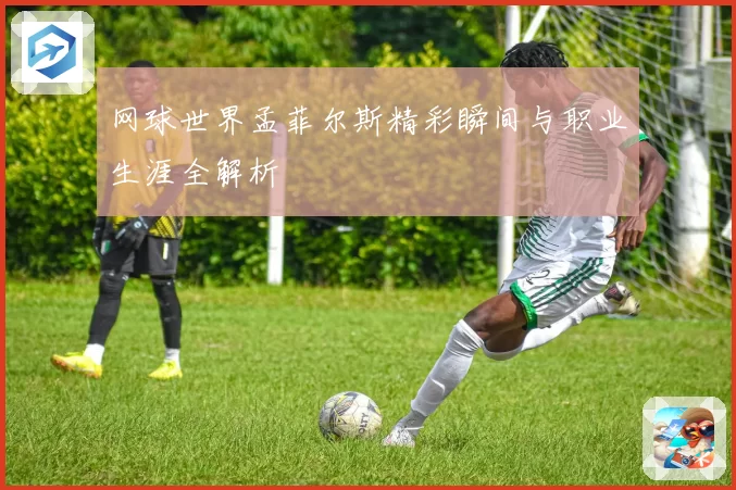 网球世界孟菲尔斯精彩瞬间与职业生涯全解析